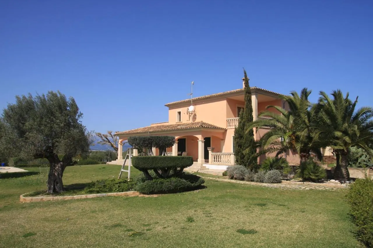 Villa Can Jaume Can Picafort   Can Picafort (Mallorca)
